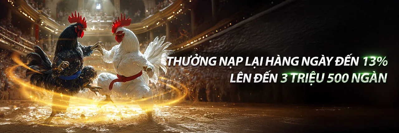 Đá Gà Trực Tiếp XXWIN Trang Chủ Chính Thức